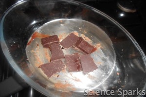 Choc 1 Chocolate Leaves - Science Sparks
