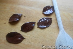 Choc 3 Chocolate leaves Science Sparks