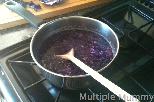 IMG_0051 Fun Sparks Acid or Alkali? Making a red cabbage indictor