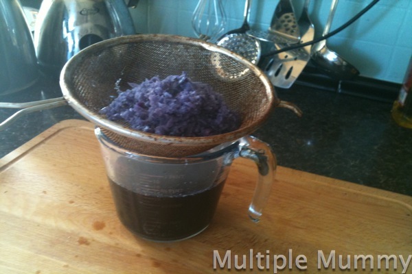 IMG_0052 Fun Sparks Acid or Alkali? Making a red cabbage indictor