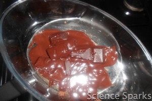 choc 2 Chocolate Leaves Science Sparks