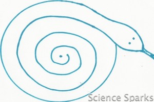Convection Snakes