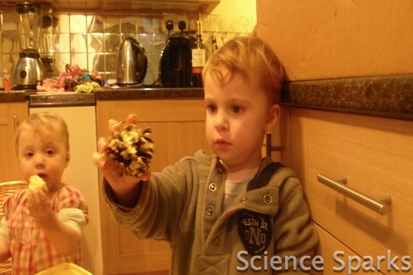 P1050751 Fun Sparks Making bird feeders