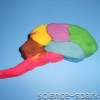 Make a play-dough brain, Science Sparks