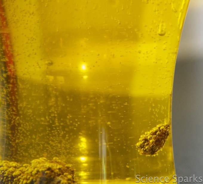 Make a raisin dance baking soda experiment