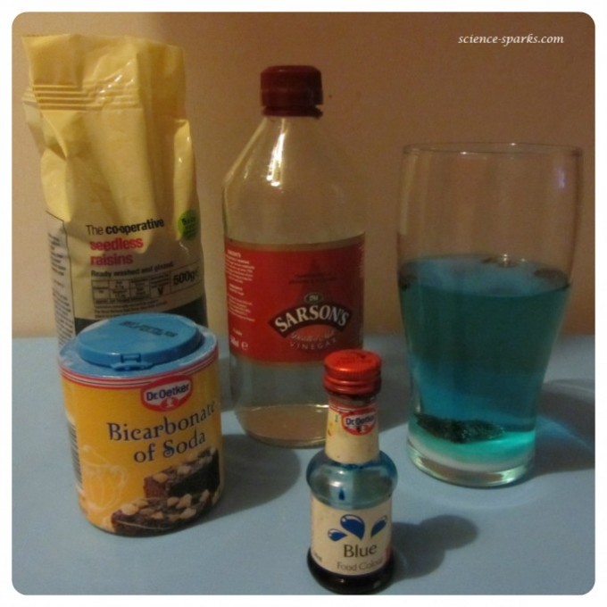 Make a raisin dance baking soda experiment