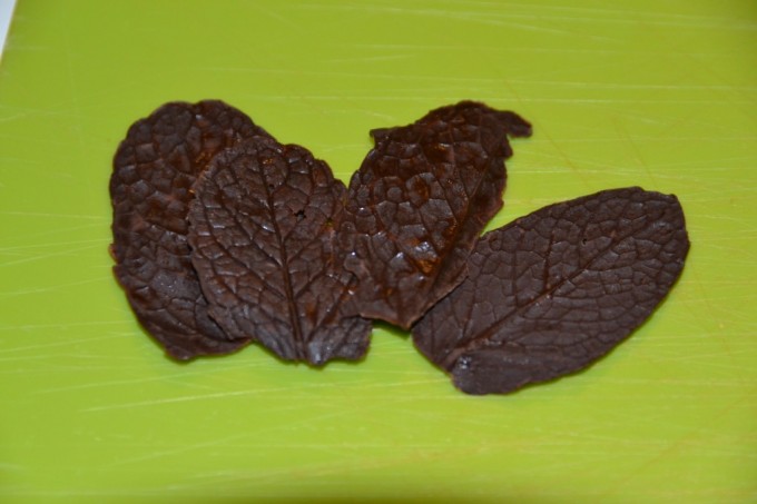 Chocolate leaves