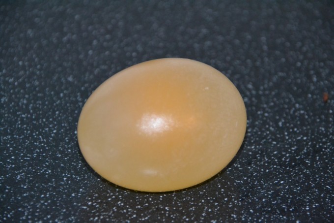 Egg with no shell