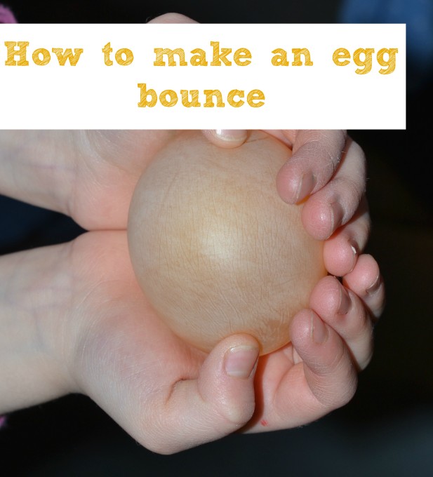 How to make an egg bounce