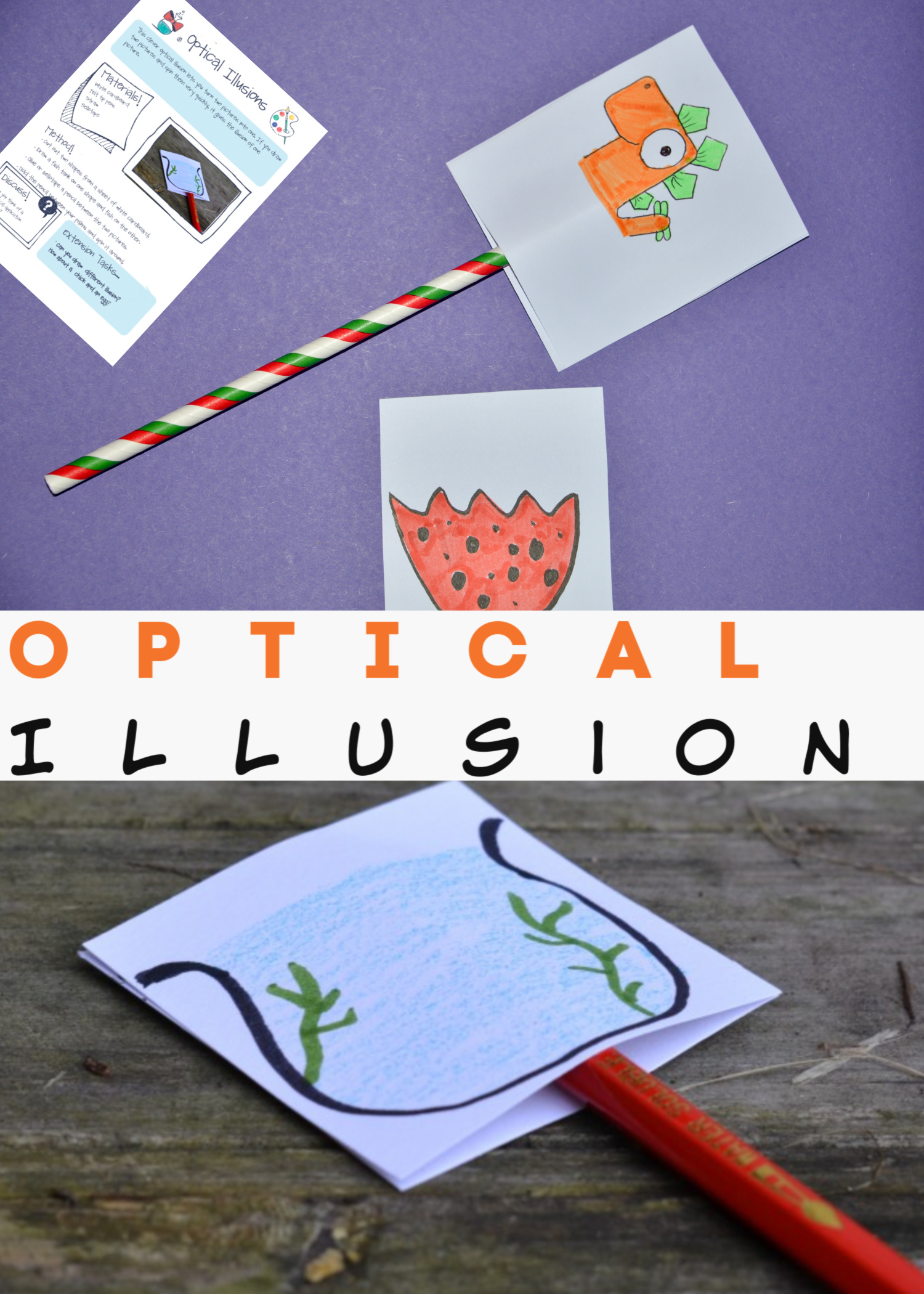 Optical Illusion Easy Science for Kids