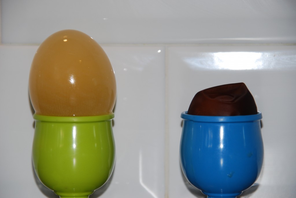 Two eggs with no shell in egg cups. One has been made to expand by placing in water and the other has shrink after being left in a concentrated sugar solution.