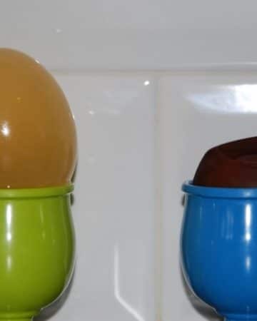Using eggs to explain osmosis