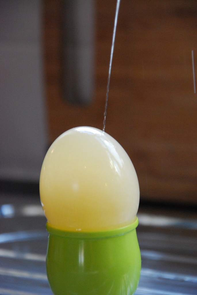 A jet of water shooting out of an egg with no shell swollen from being soaked in water