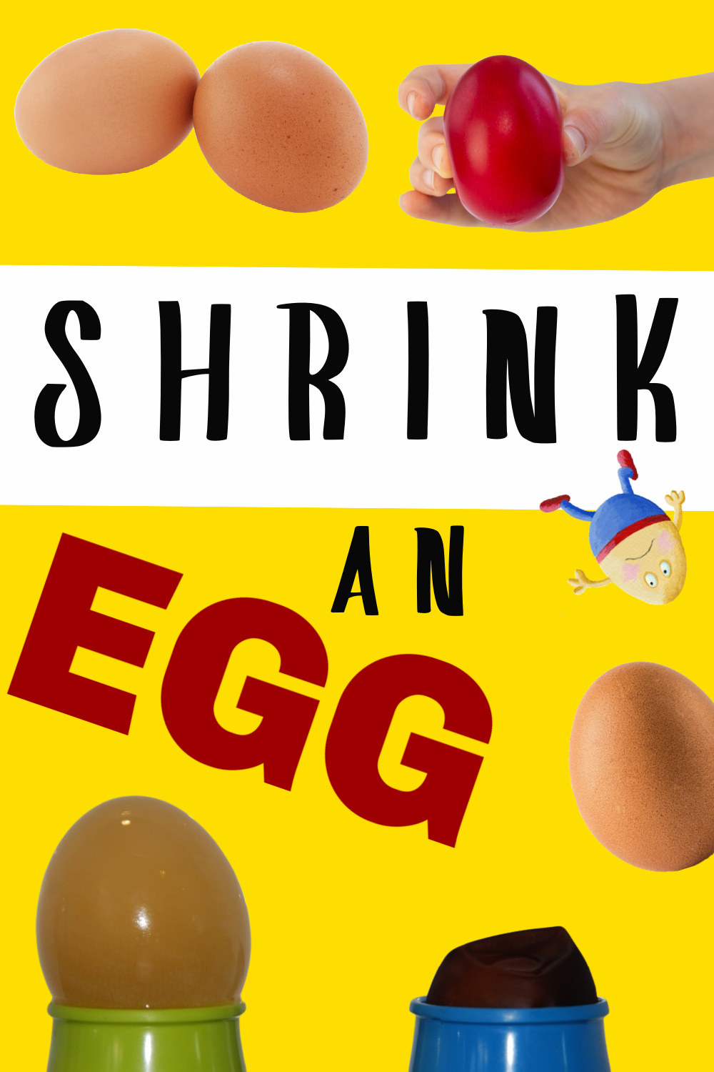 Find out how to shrink an egg ( and make it grow again )