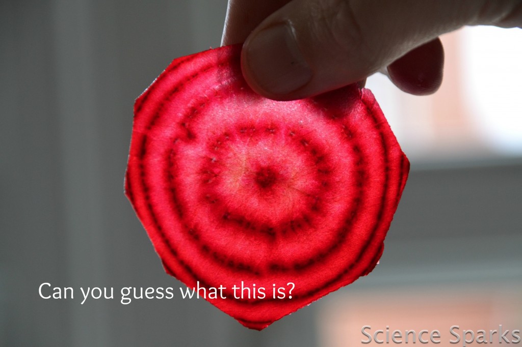 colourful rings inside sliced beetroot