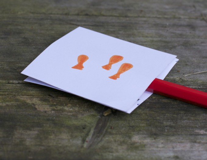 drawing of three fish on a sheet of cardstock attached to a pencil as part of an optical illusion