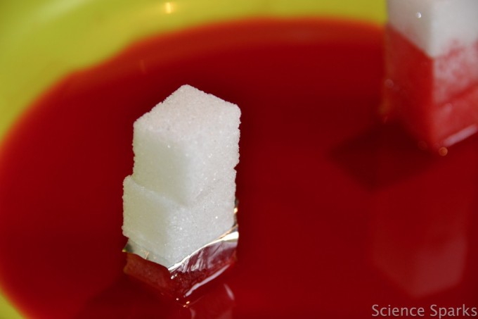 3 sugar cubes sat in a shallow plate of water and red food colouring. Foil sits between the first and second cube. The idea is to test different materials to see which can stop the second sugar cube absorbing water.