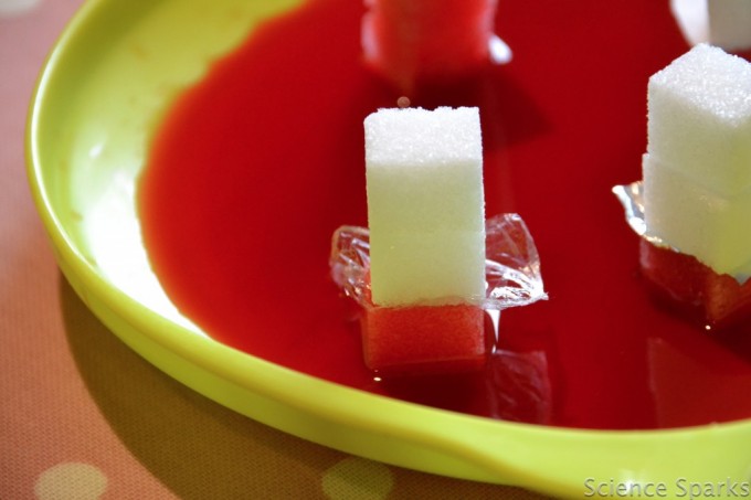 Absorbing water experiment using sugar cubes. Place the cubes in coloured water and watch as the cubes absorb it!