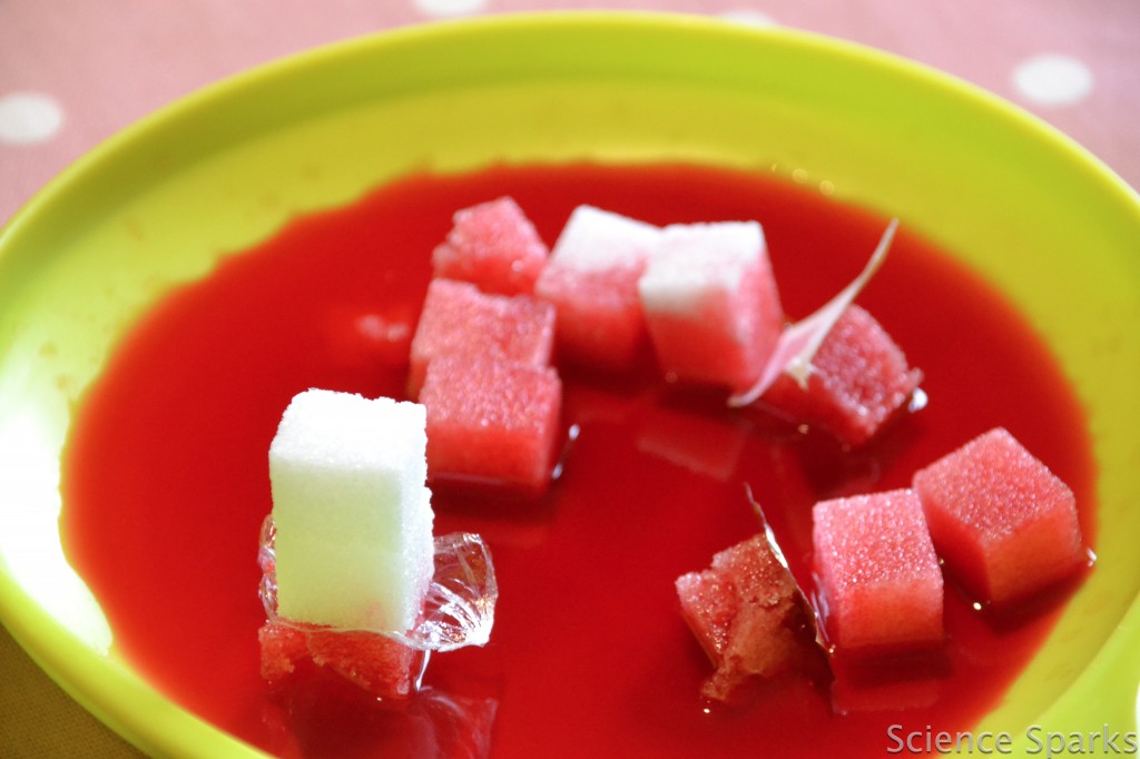 sugar cube science sugar cubes, red water, foil and tissue on a plate