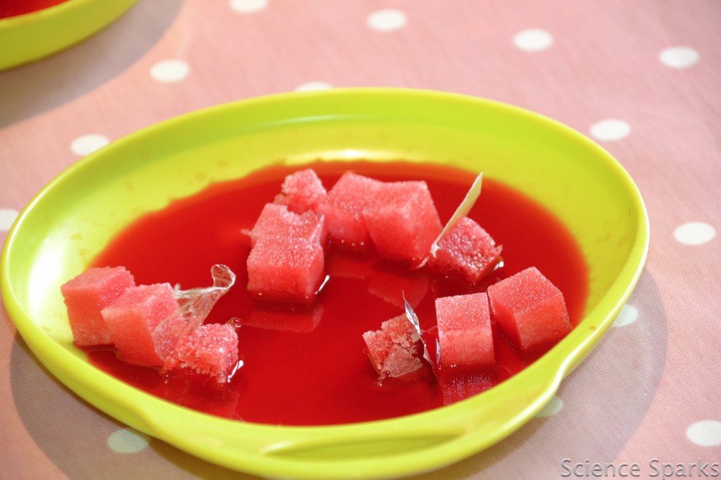 Sugar Cube Science sugar cubes dissolving in red water