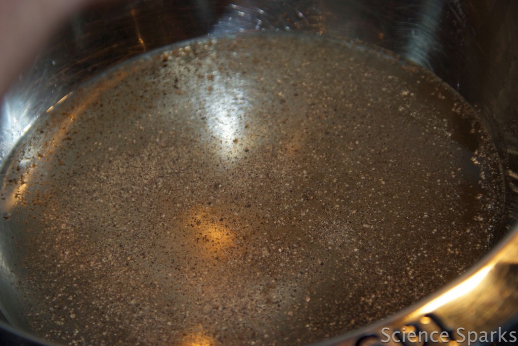 A bowl of water with a layer of black pepper sprinkled on top for a surface tension activity