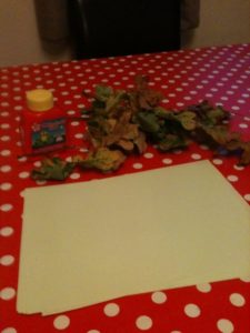 Hedgehogs Fun Sparks Hedgehogs Science Sparks