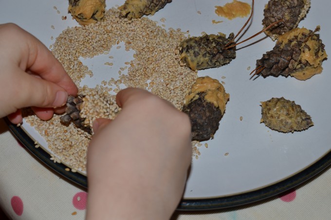pine cone bird feeder