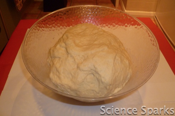 P1050671 bread dough in a bowl