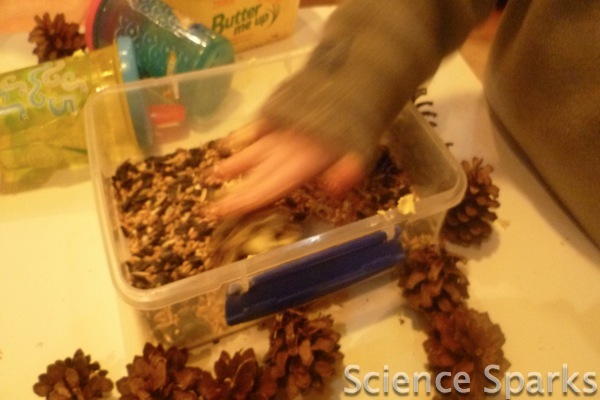 P1050753 Fun Sparks Making bird feeders