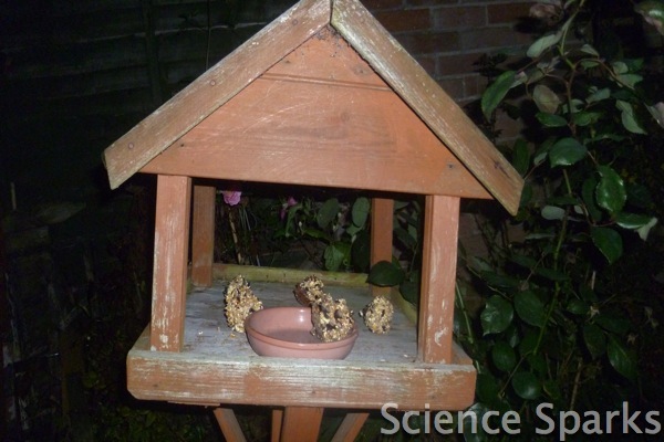 P1050760 Fun Sparks Making bird feeders