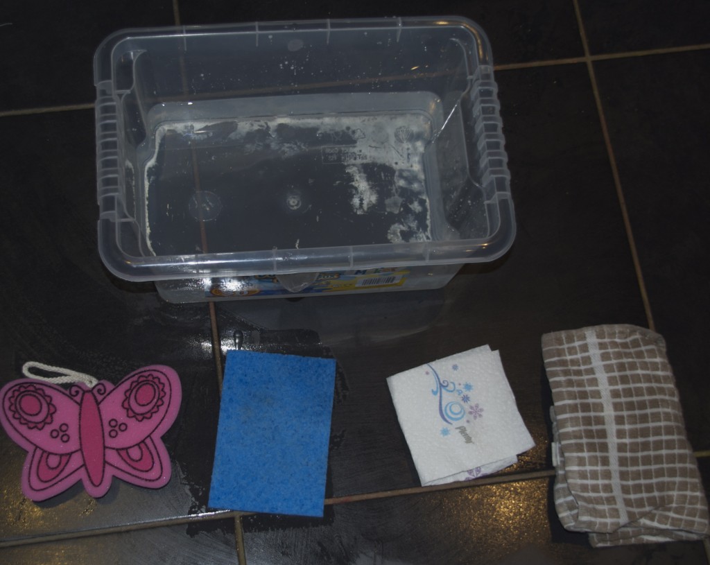 tub of water and different sponges for an absorbing experiment