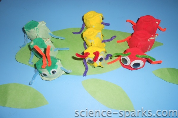 Bursting the cocoon! Caterpillar Fun