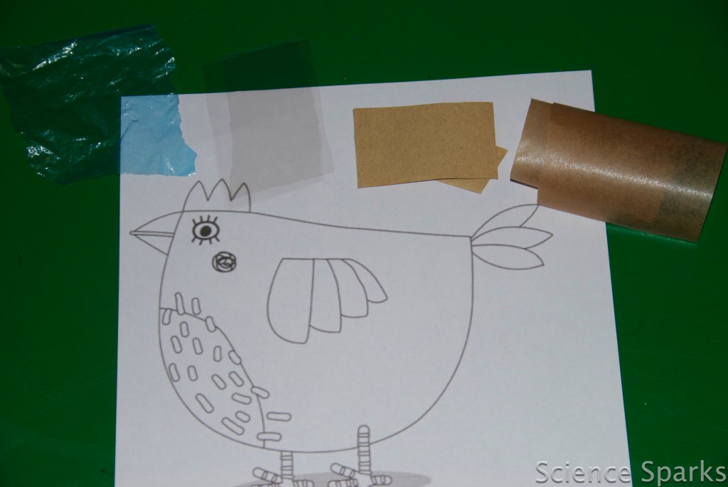 DSC_6245 Image of a chicken on A4 paper