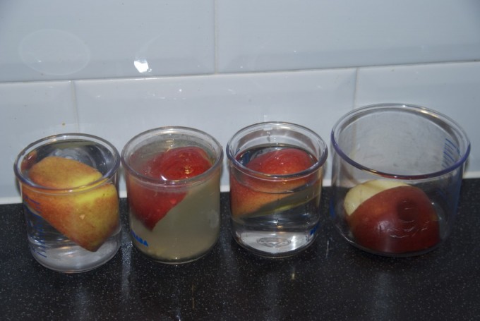 Segments of apple in different liquids for a science experiment about preservation