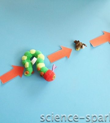 Simple Food Chains and a worksheet, Science Sparks