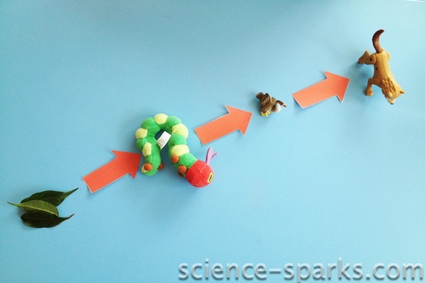 Simple Food Chains and a worksheet, Science Sparks