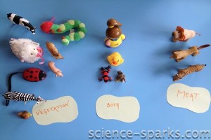 Simple Food Chains and a worksheet, Science Sparks
