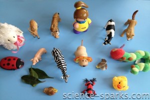 selection of toy animals for a food chain activity