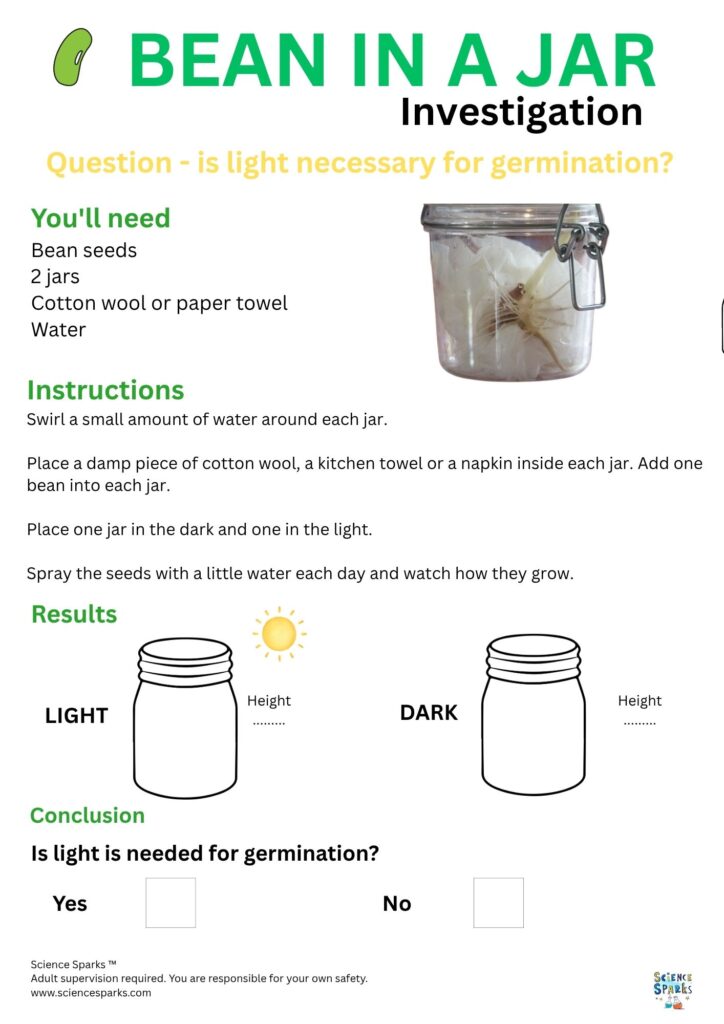 Bean in a jar experiment sheet
