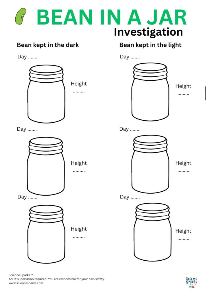 Bean in a jar investigation printable activity sheet