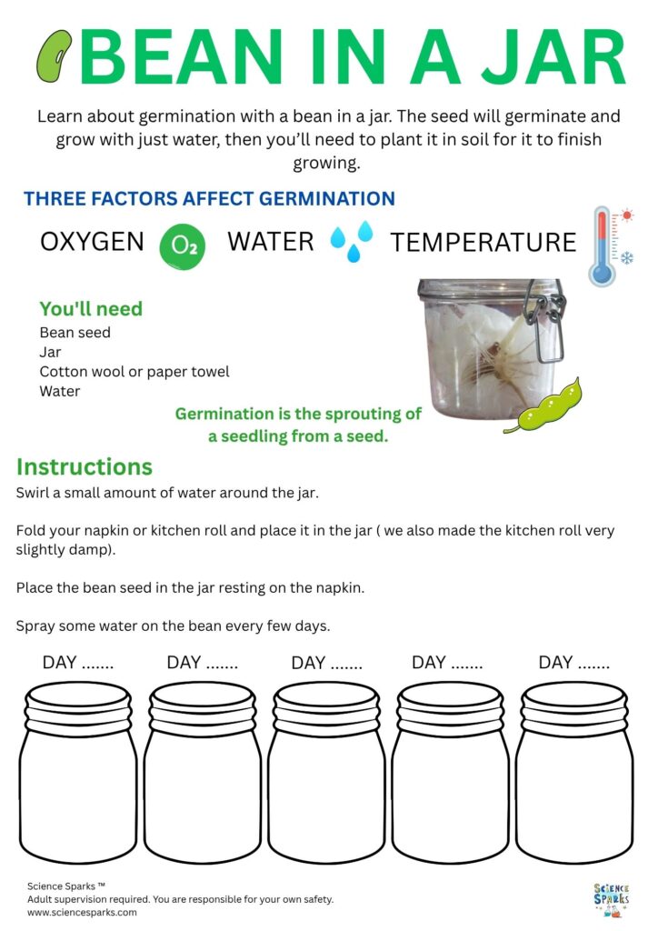 Bean in a jar worksheet