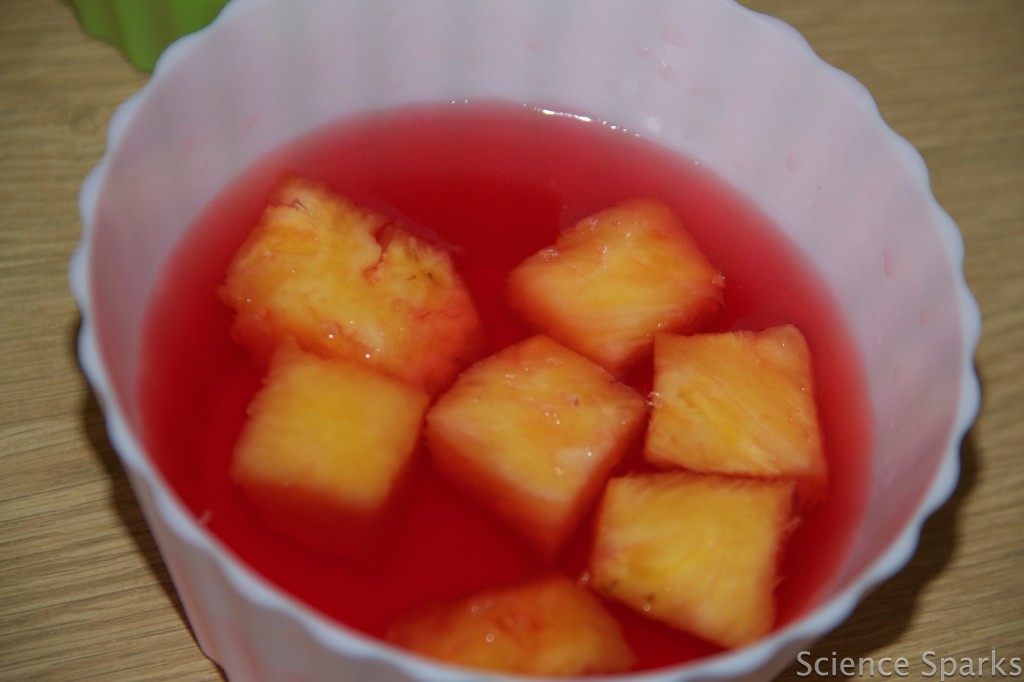 Jelly with pineapple in it for a fun kitchen science experiment