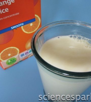 Curdling milk, Science Sparks