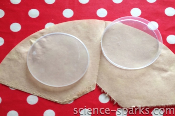 two oetri dishes to be used as choice chambers for a science experiment