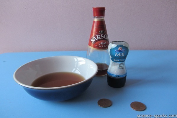A bowl of vinegar and copper coins ready for a science experiment