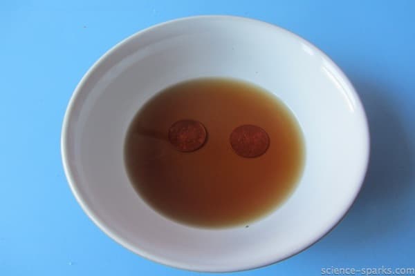 two copper coins soaking in a bowl of vinegar