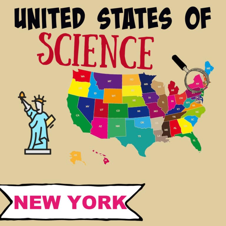 New York – Why is the Statue of Liberty Green?