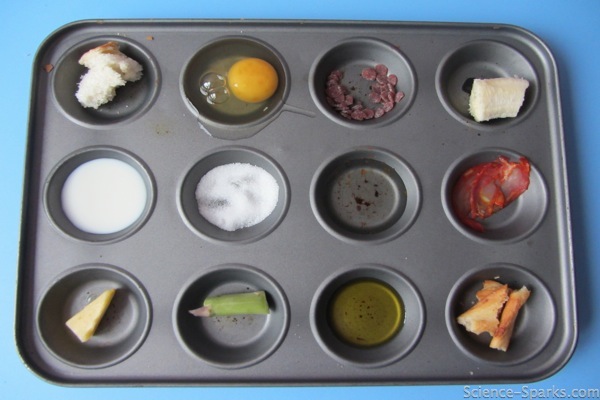 Muffin tray filled with different types of foods for a food group activity
