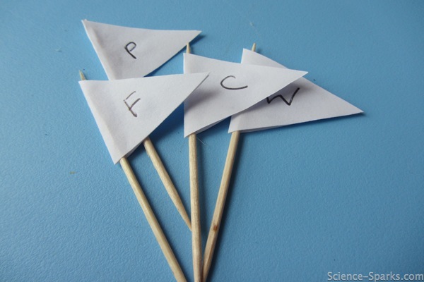 Flags made from toothpicks and paper for a food group sorting activity