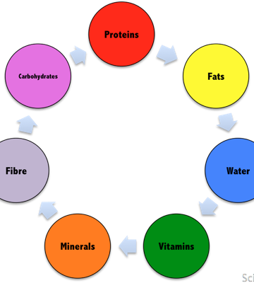 food groups, Science-sparks